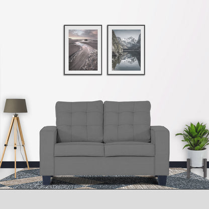 Adorn India Raptor 2 Seater Sofa (Grey)