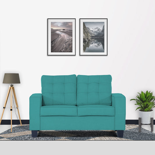 Adorn India Raptor 2 Seater Sofa (Aqua Blue)