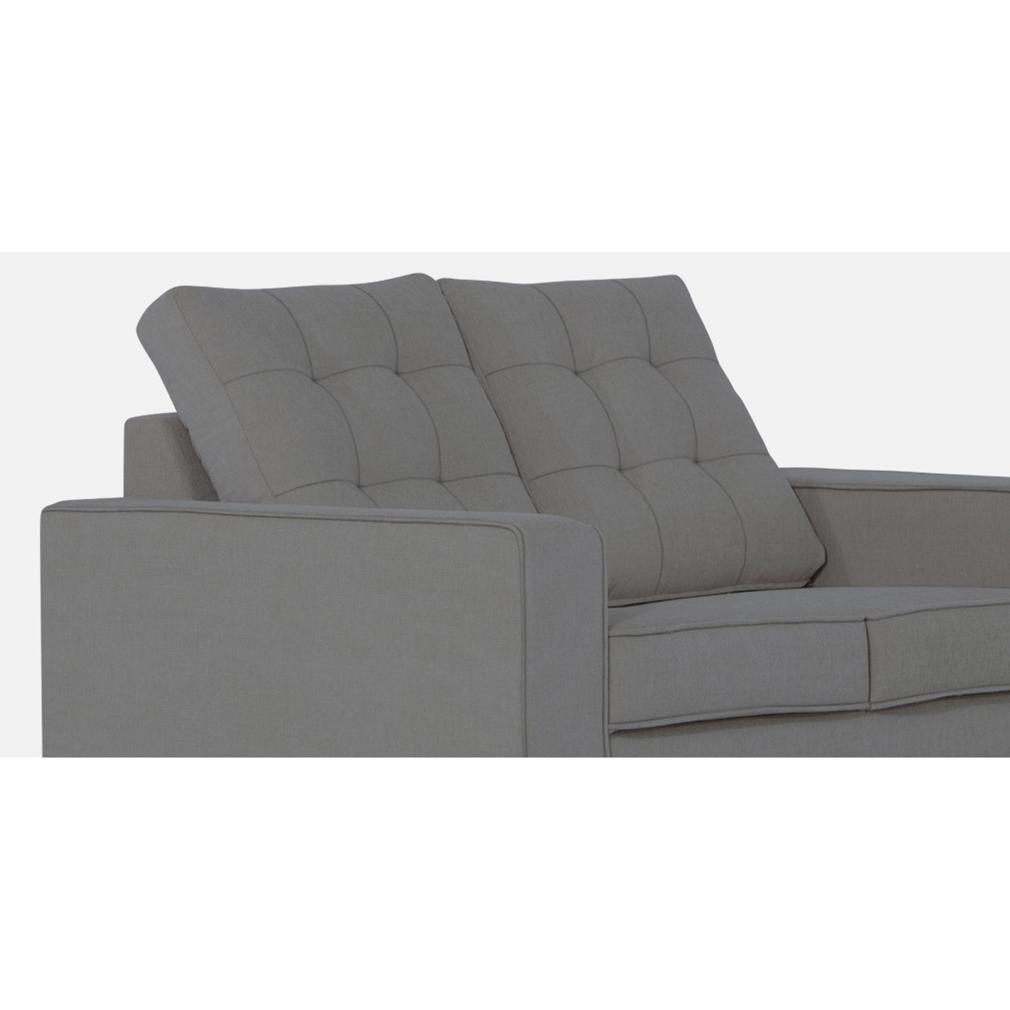 Adorn India Raptor 2 Seater Sofa (Grey)