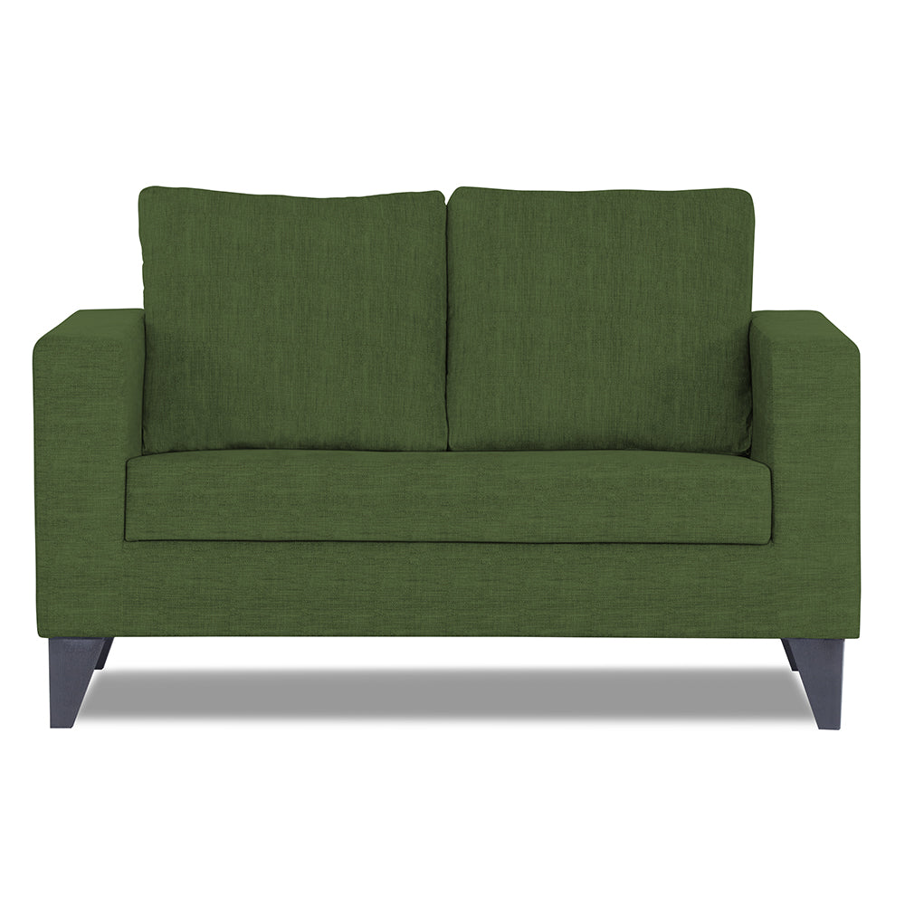 Adorn India Wood Hallton Plain 2 Seater Sofa (Green) (3 Year Warranty)