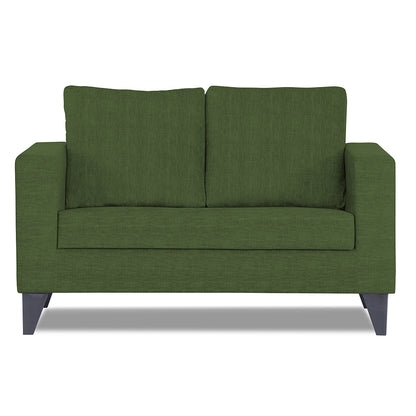 Adorn India Wood Hallton Plain 2 Seater Sofa (Green) (3 Year Warranty)