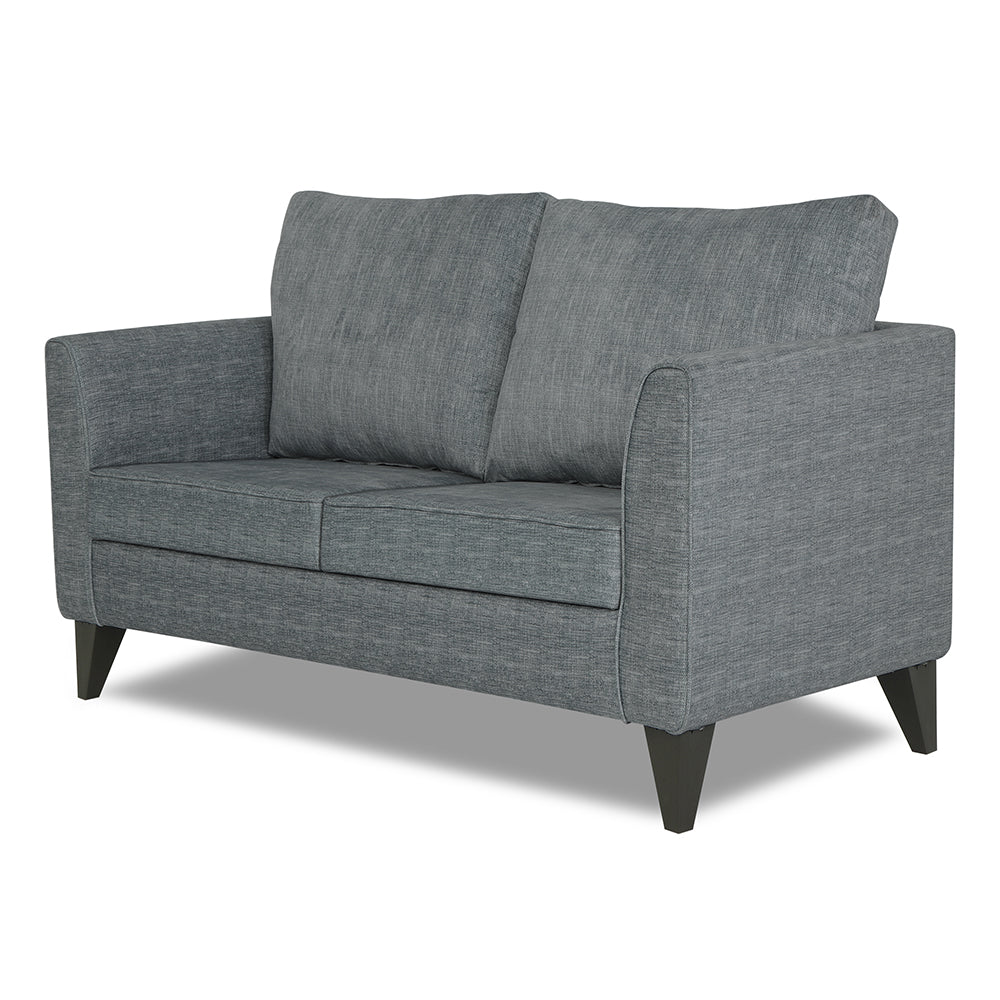 Adorn India Enzo Decent (3 Years Warranty) 2 Seater Sofa (Grey) Modern