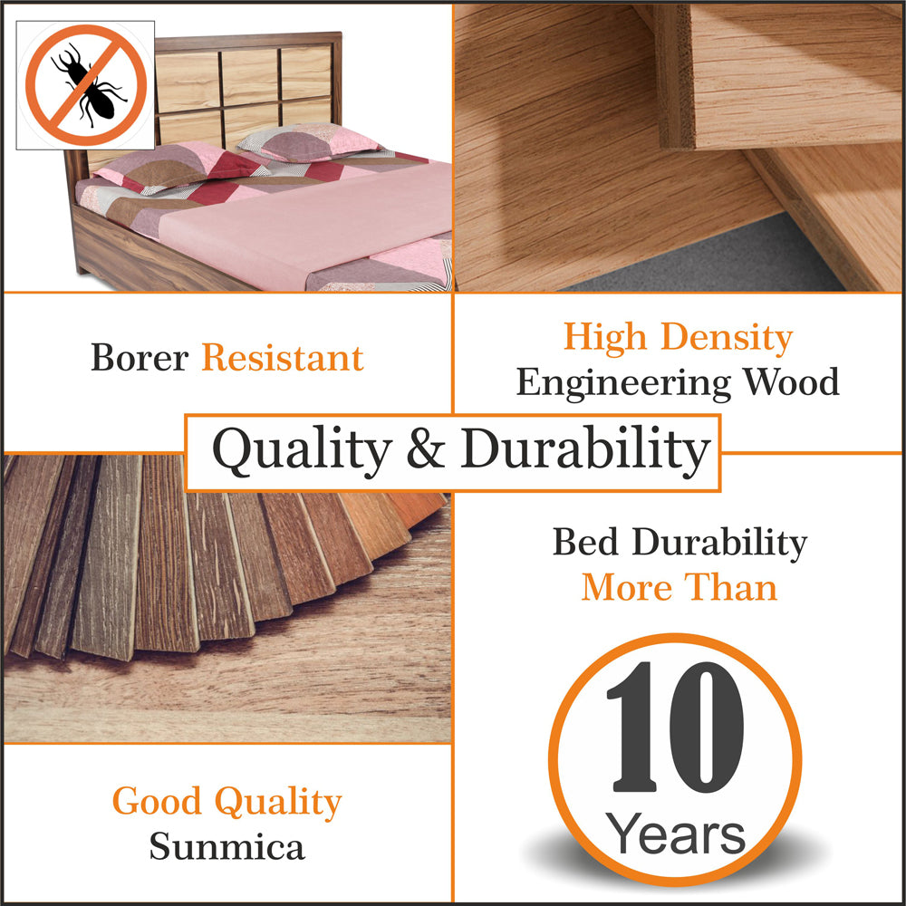 Adorn India Engineered Box Spring Queen Bed with Storage-(Matte_Multicolor)