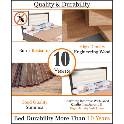 Adorn India Hypnos Engineered Box Spring Storage with Back Cushion Queen Size Bed (Matte Finish; Multi; Without Mattress)